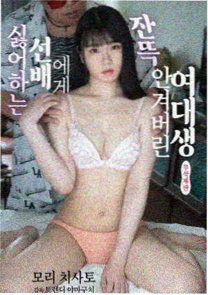 剧集凌晨四点的电台封面